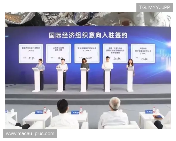 皇家平台的未来：如何引领新一代在线互动体验