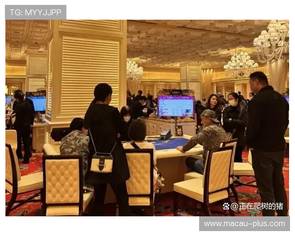 澳门6张赌牌的赌场有哪些，用户如何识别和选择合适的赌博场所