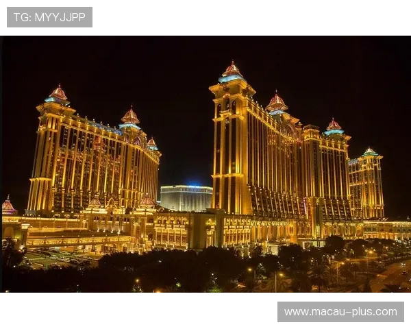 澳门新博亚娱乐有限公司在澳门博彩行业中的创新发展策略分析